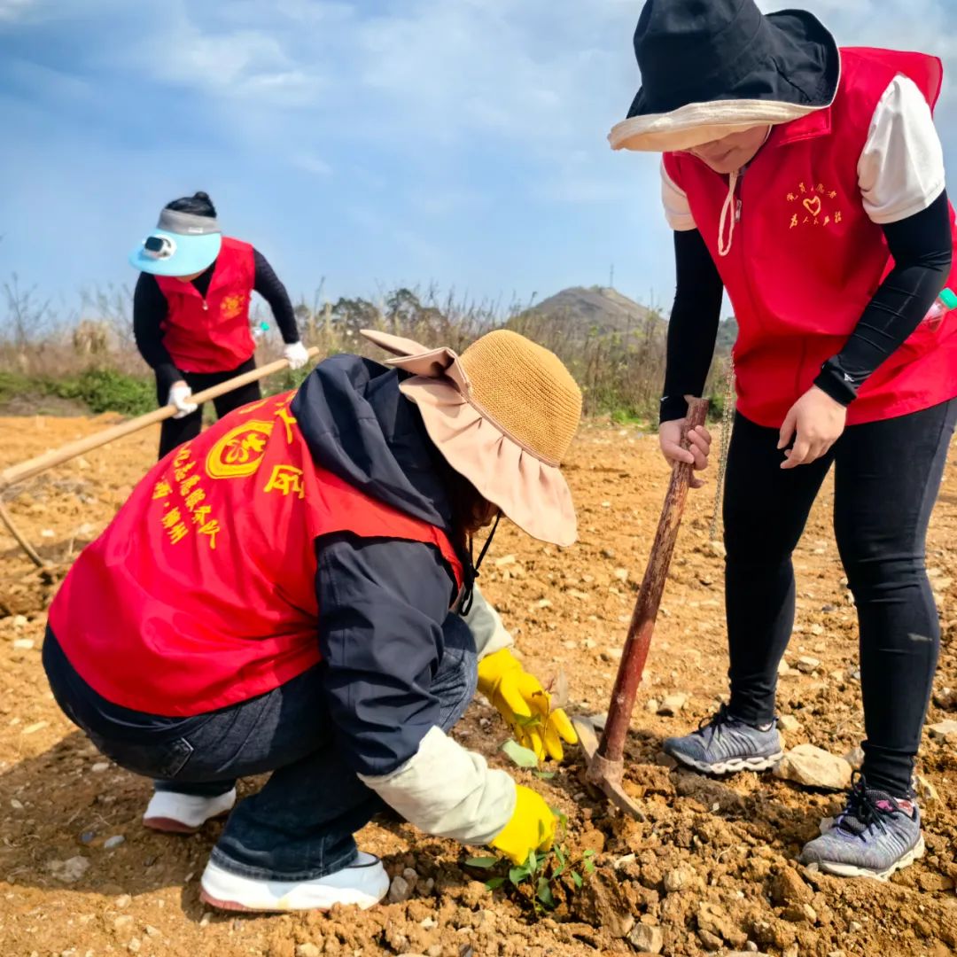 6974003621cbf462b230e3843e50947c.jpg 6974003621cbf462b230e3843e50947c.jpg